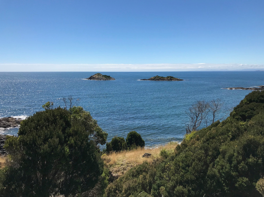 Three Sisters Reserve Lookout-Ulverstone必去景点
