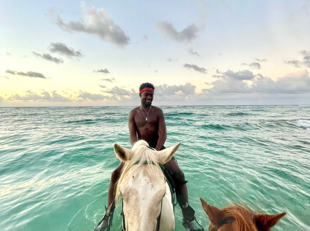 Equus Rides Horseback Riding St. Croix-Frederiksted必去景点