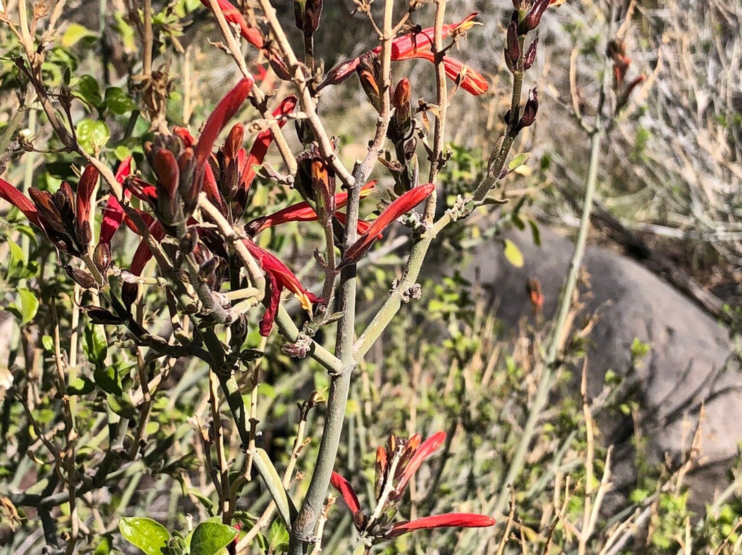 Spur Cross Ranch-洞溪必去景点