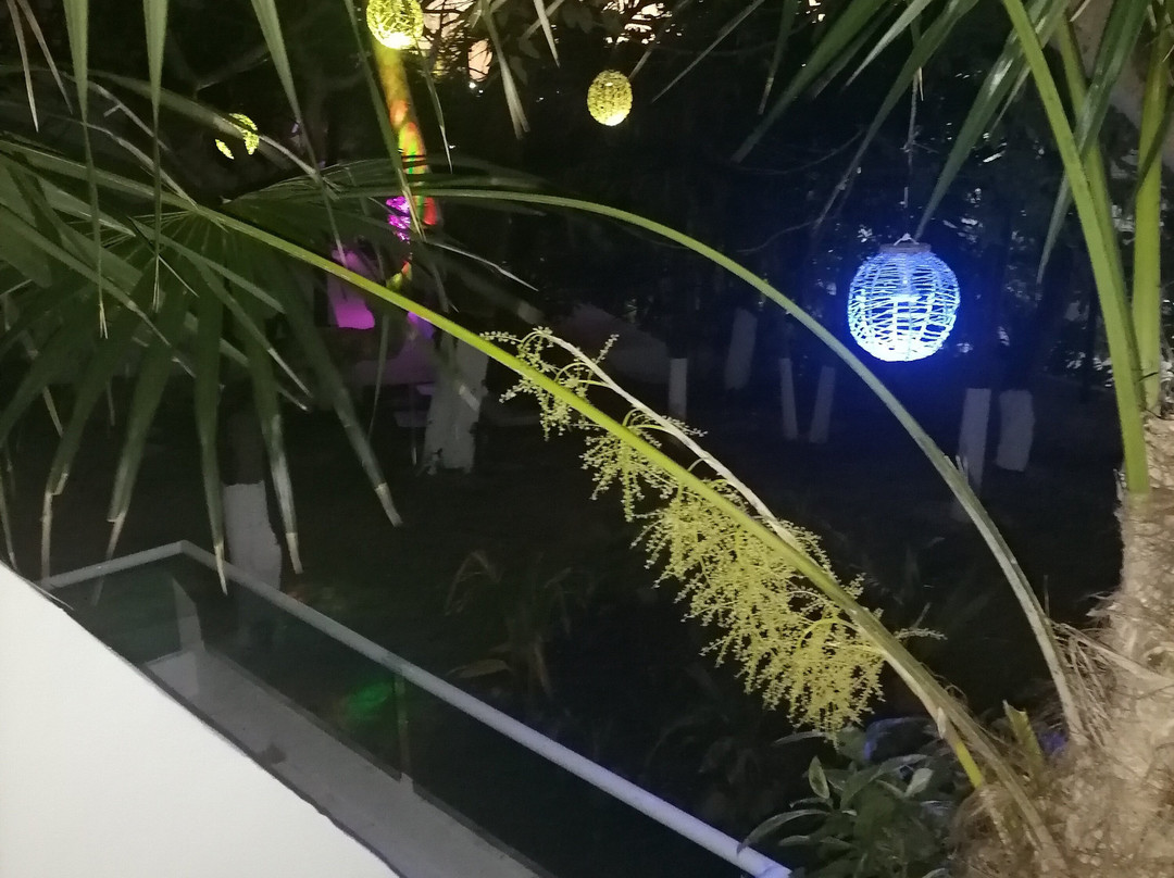 火烈鸟酒店主图