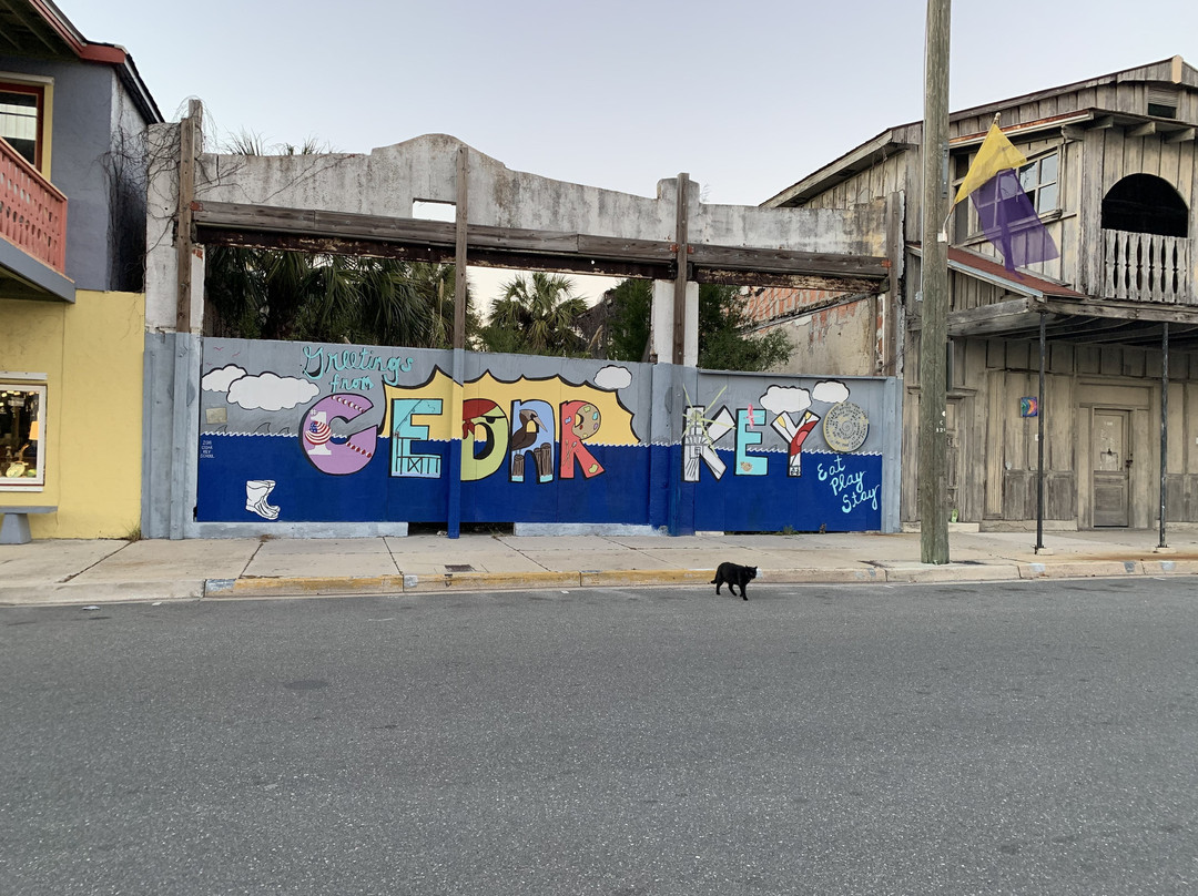 Cedar Key Adventures景点图片