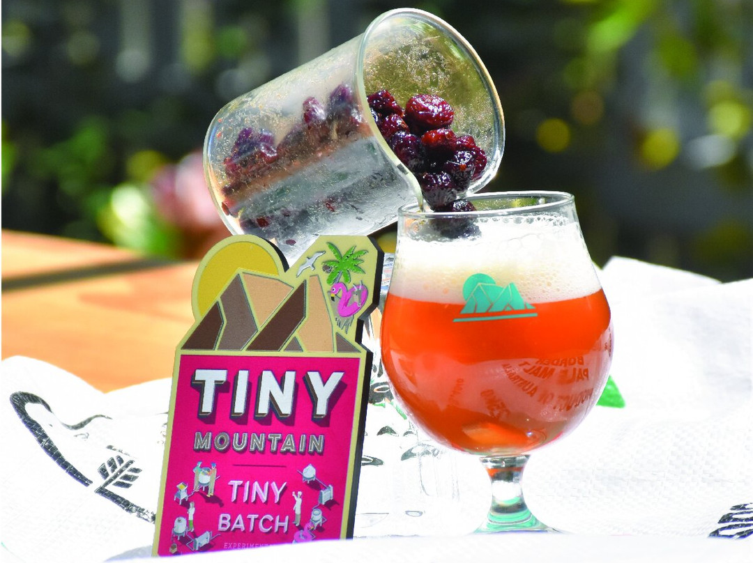 Tiny Mountain Brewery-汤斯维尔必去景点