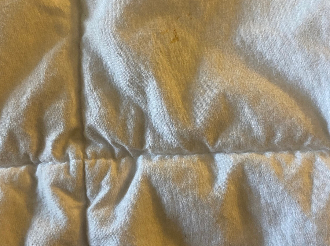 Comfort Inn & Suites主图