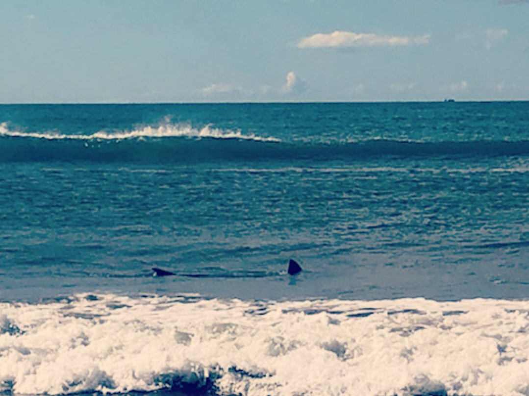 Waiotahe Beach景点图片