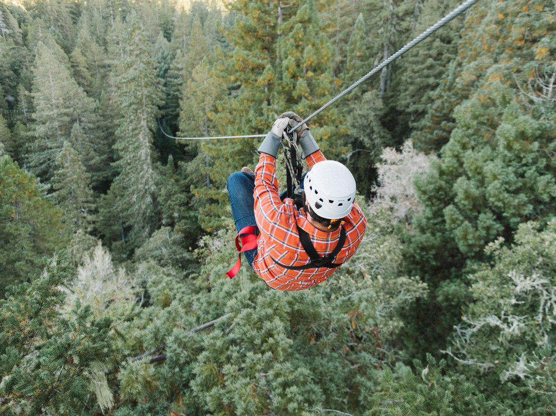 Sonoma Zipline Adventures景点图片