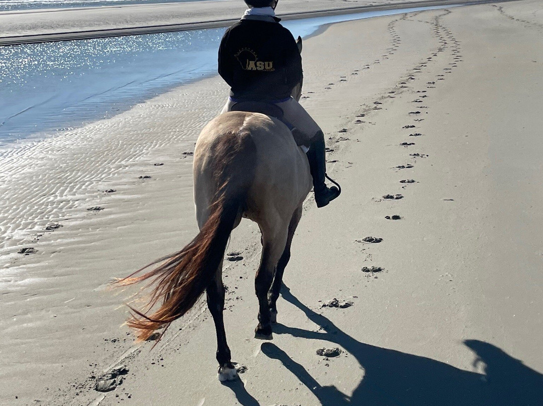 Seabrook Island Equestrian Center景点图片