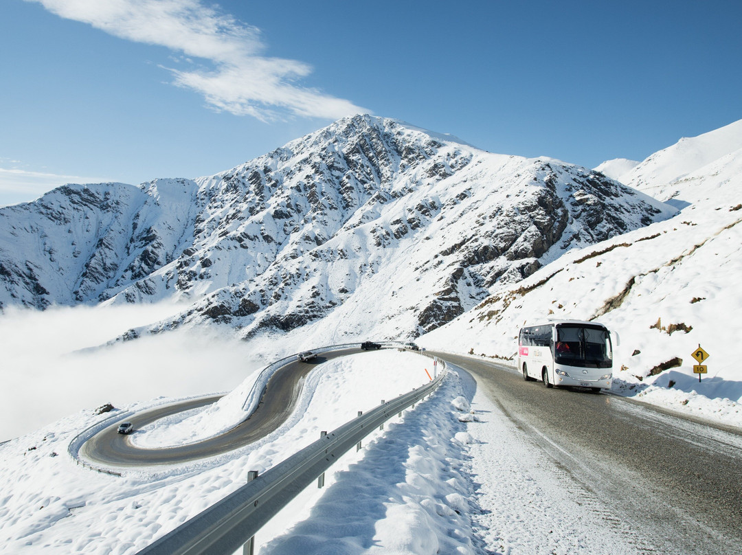 Arthurs Point旅游攻略图片
