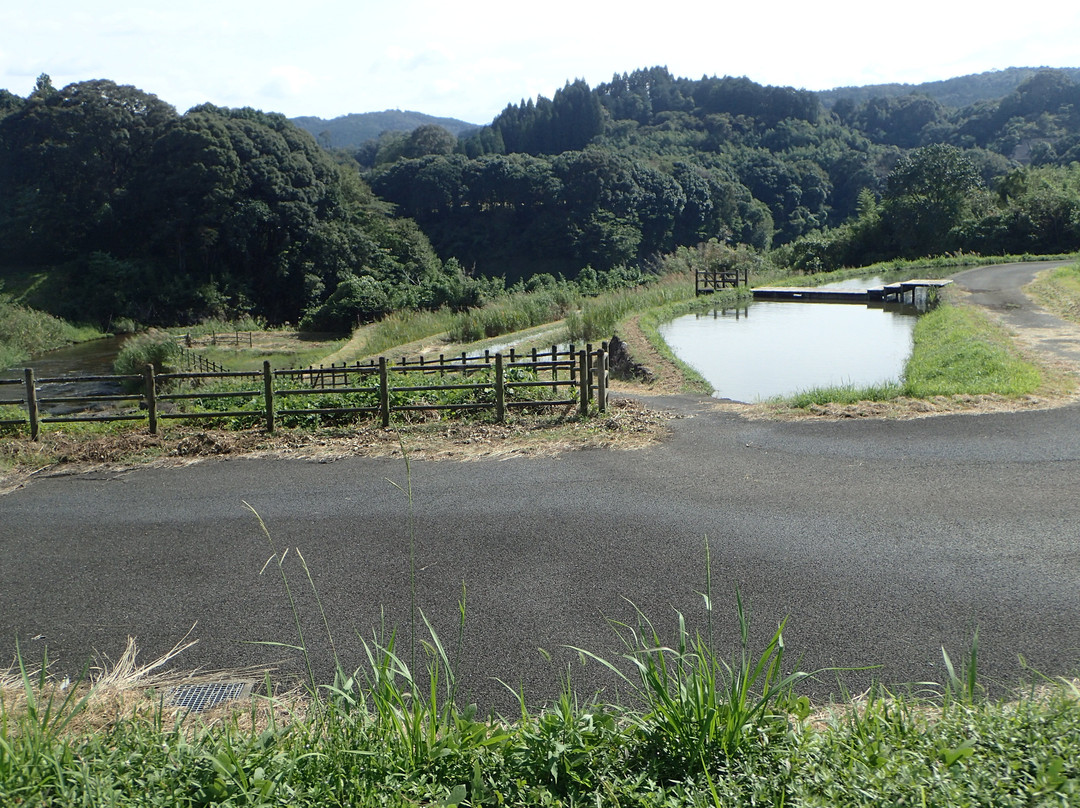 Miyahito River Biotope景点图片