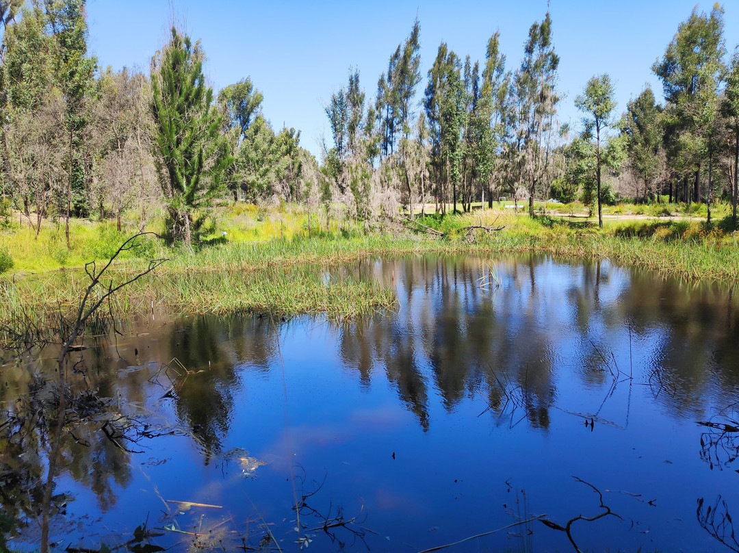 Eurobodalla Regional Botanic Gardens景点图片