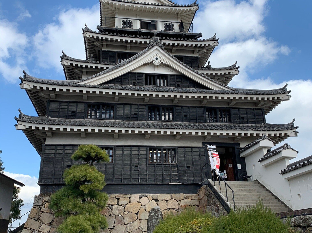 Nakatsu Castle景点图片