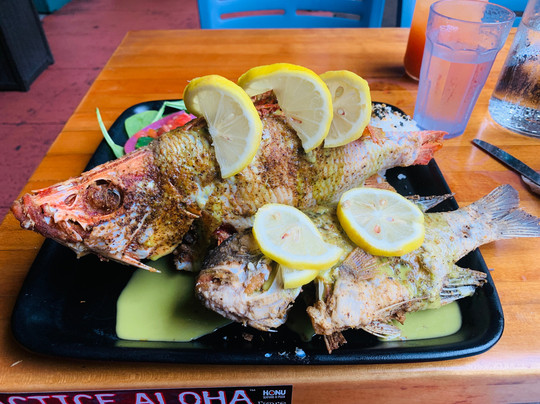 Maui Spearfishing Academy-拉海纳必去景点