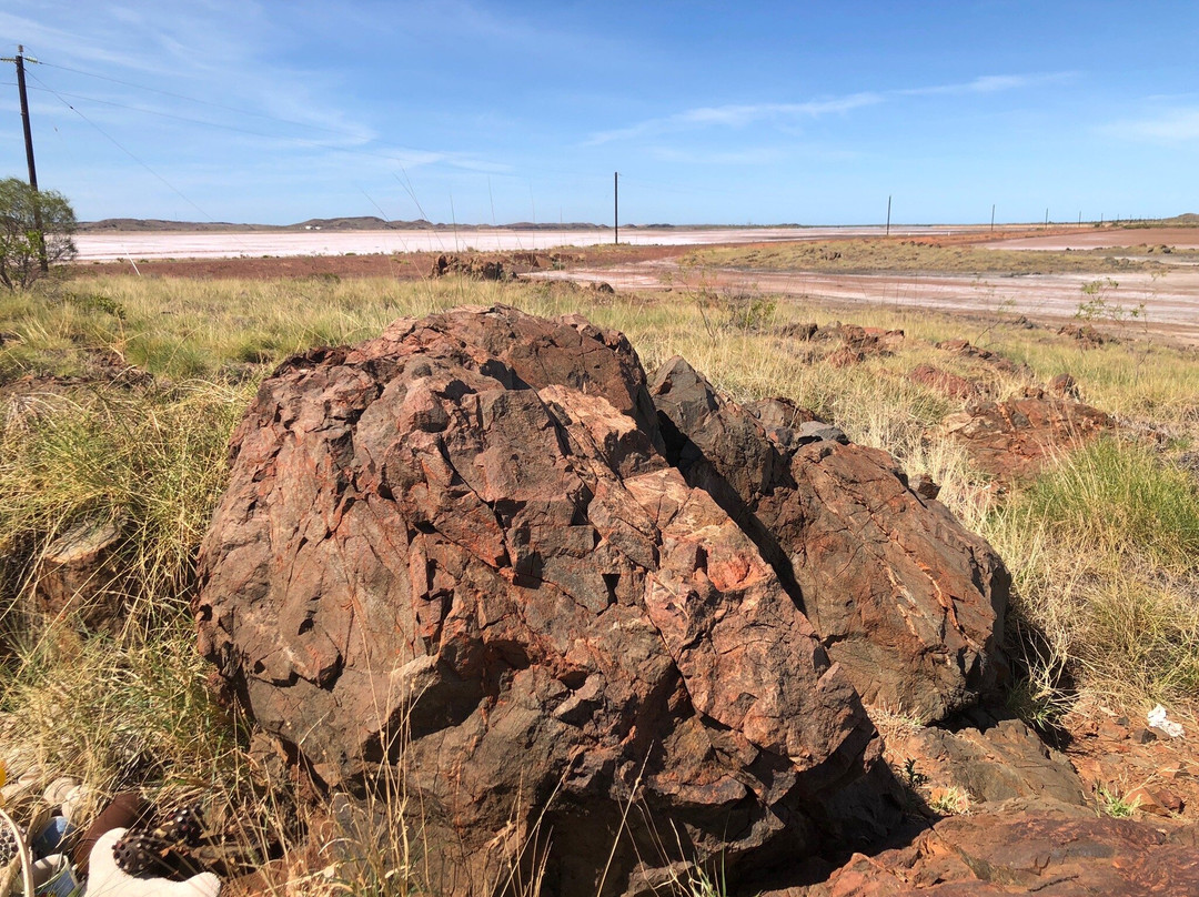 Red Dog Memorial-Cossack必去景点