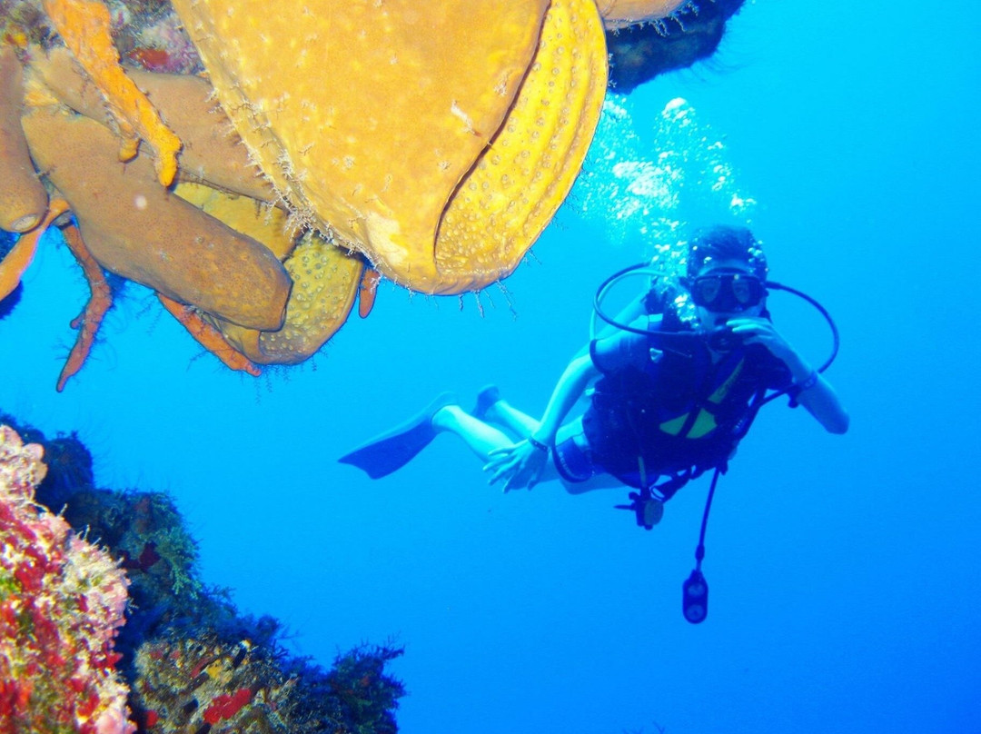 Cancun Smart Pass-坎昆必去景点