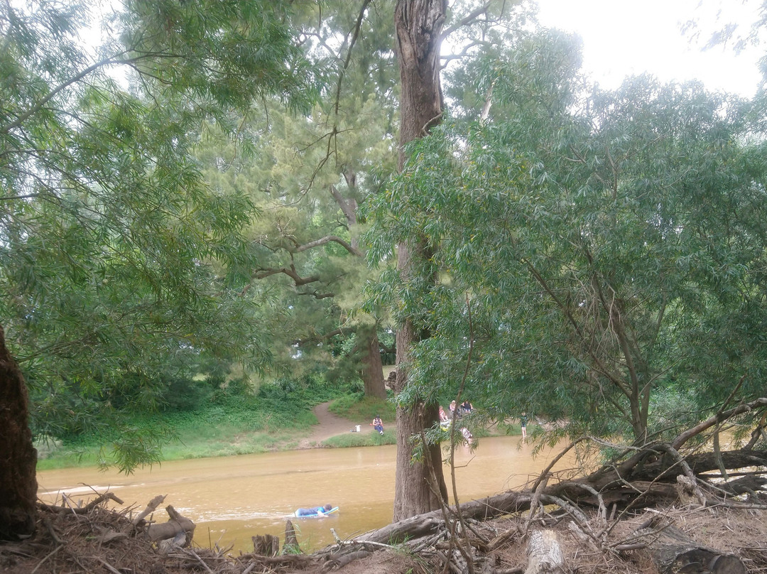 Bega River And Walk景点图片