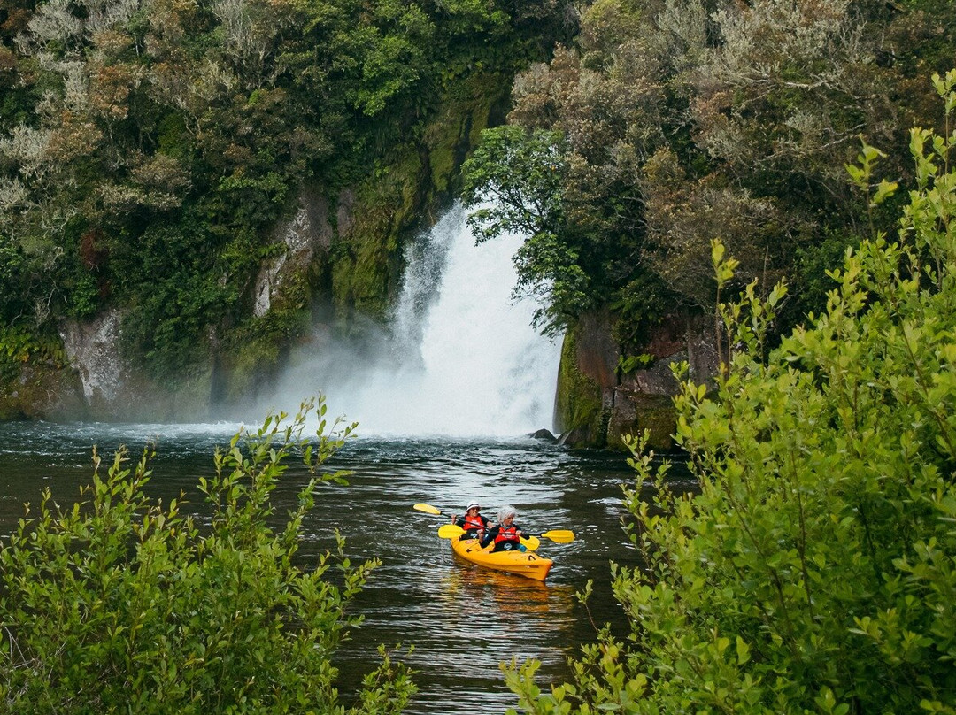 Chasing Waterfalls with Taxicat Adventures景点图片