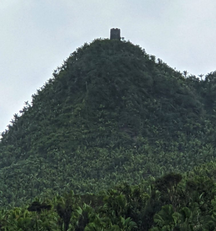 Mount Britton Trail-云盖国家森林公园必去景点