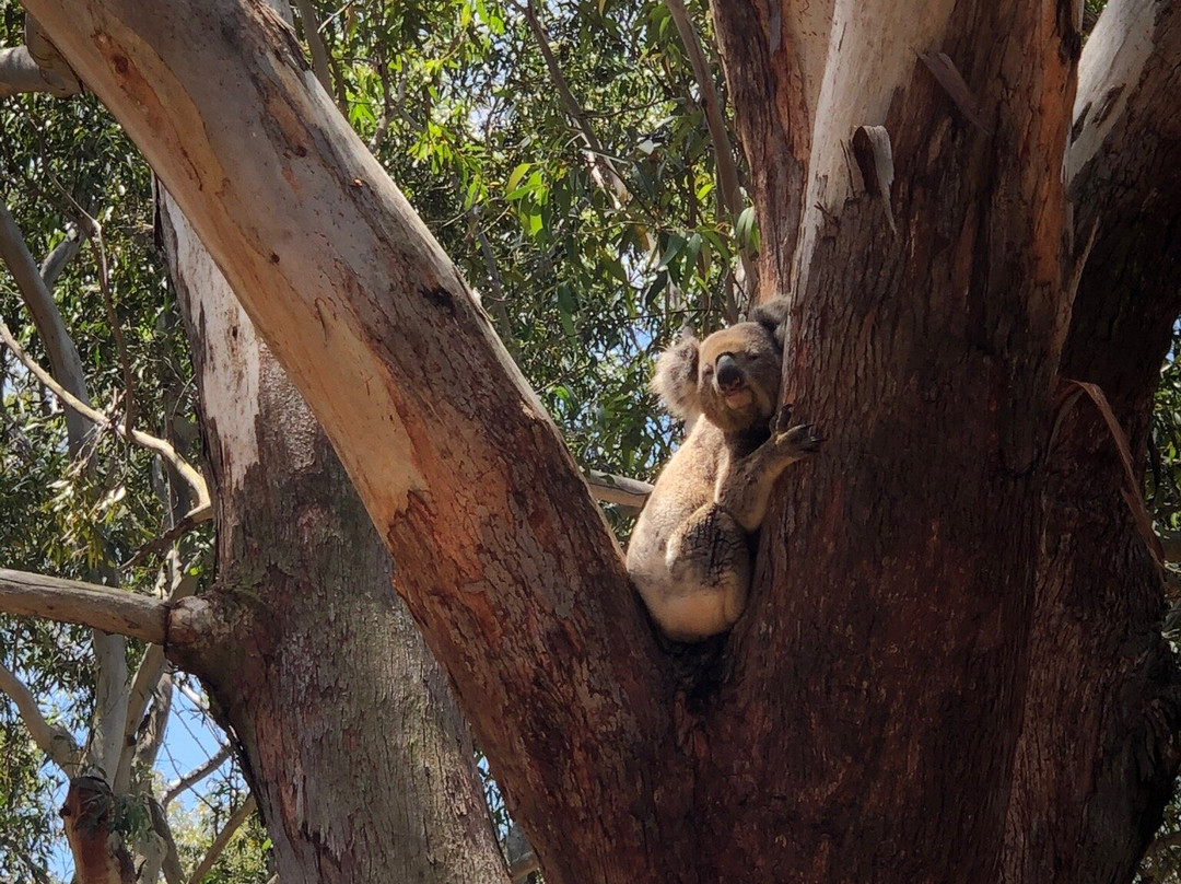 One Mile旅游攻略图片