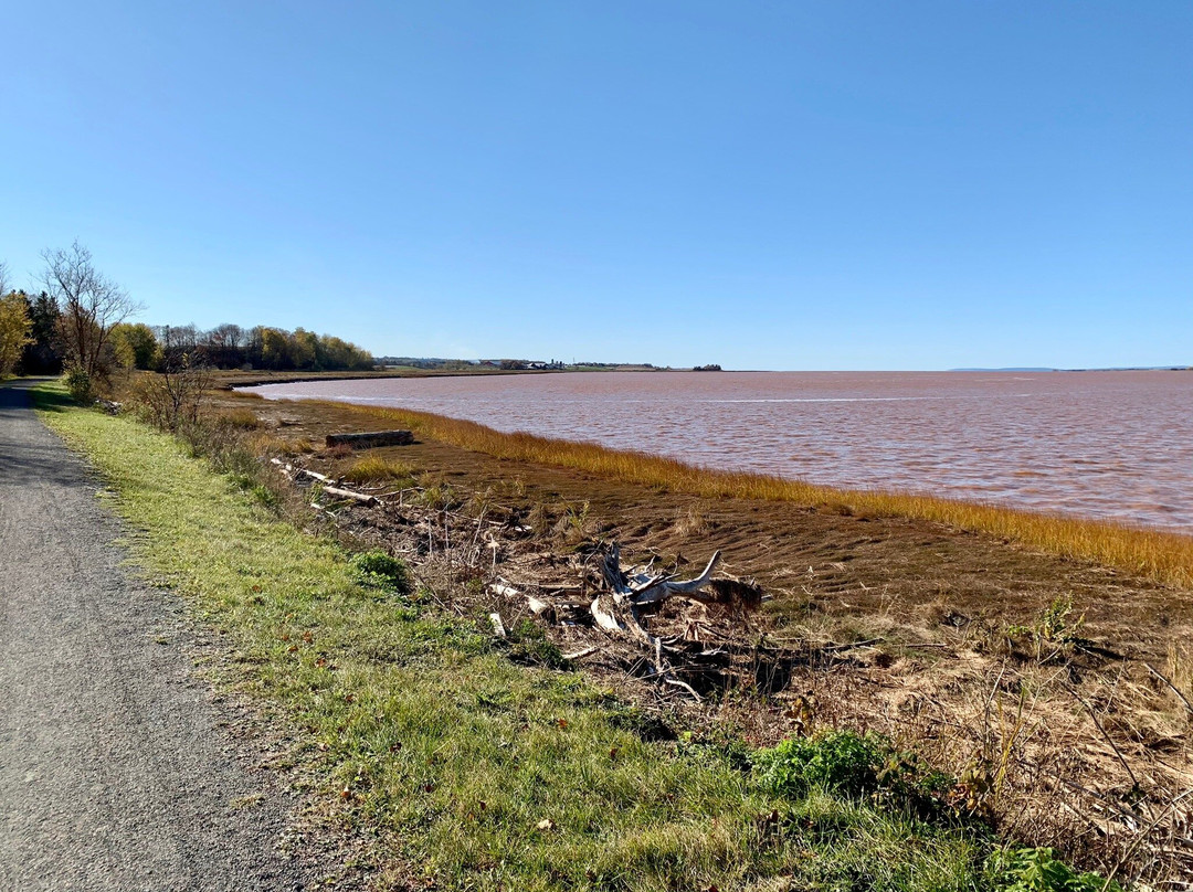 Cobequid Trail景点图片