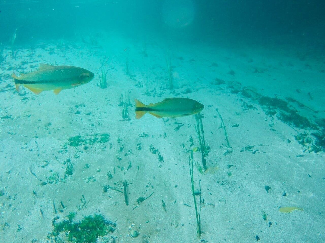 Bonito-MS-博尼图必去景点