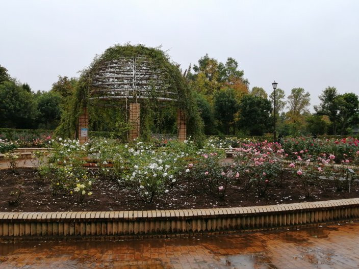 Chiba Kashiwanoha Park-柏市必去景点