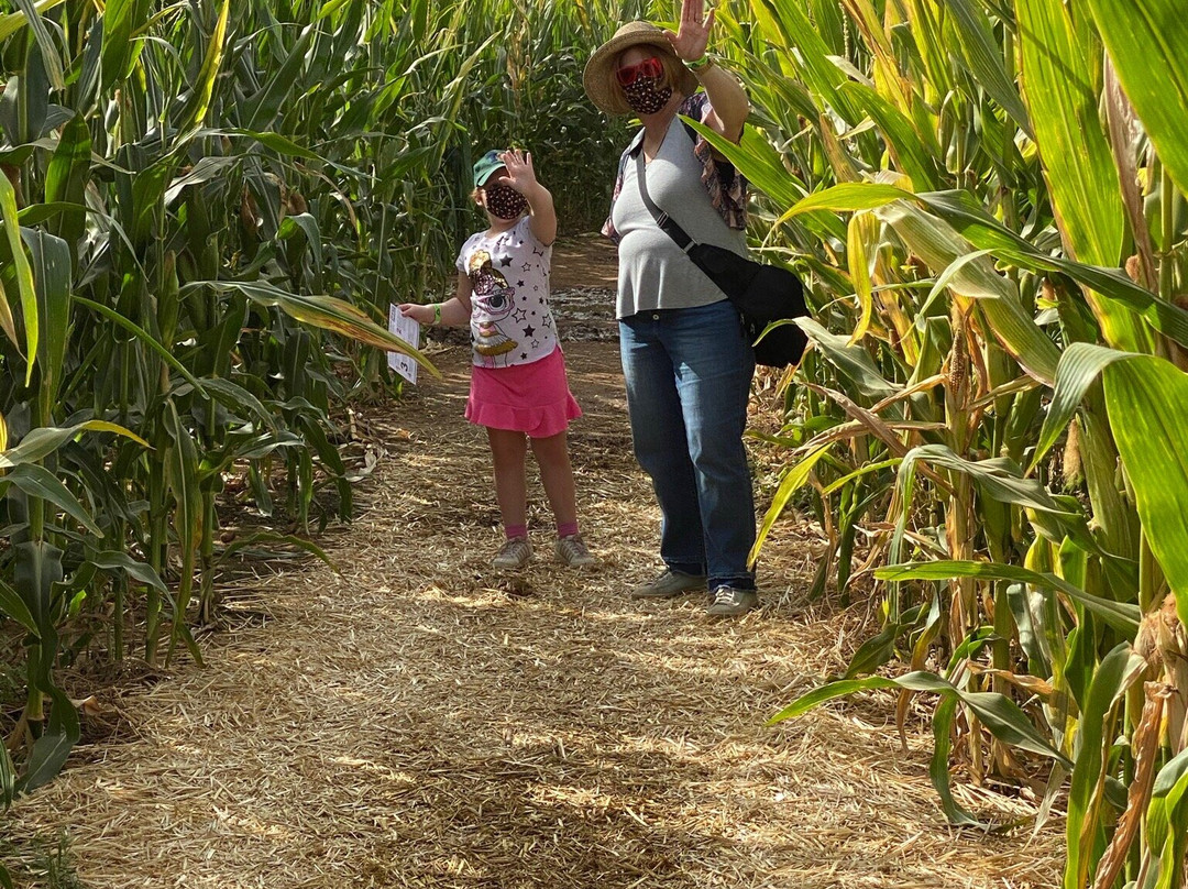 Apple Annie's Orchard-Willcox必去景点