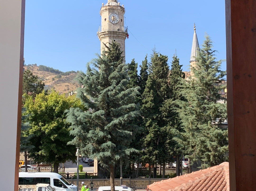 Saat Kulesi景点图片