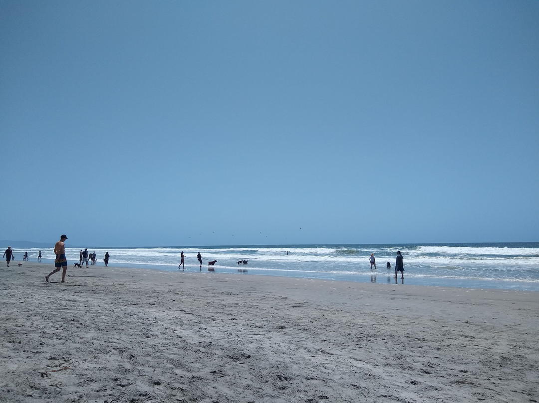 Del Mar Dog Beach景点图片