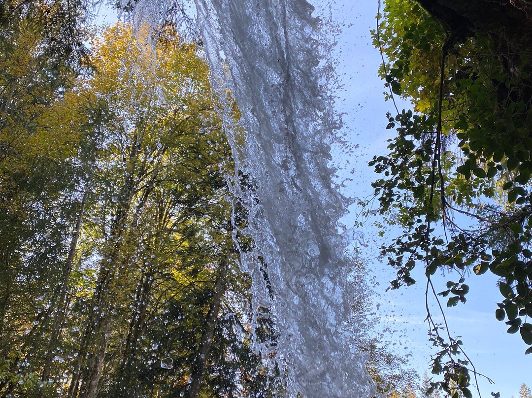 Scheidegger Wasserfälle景点图片