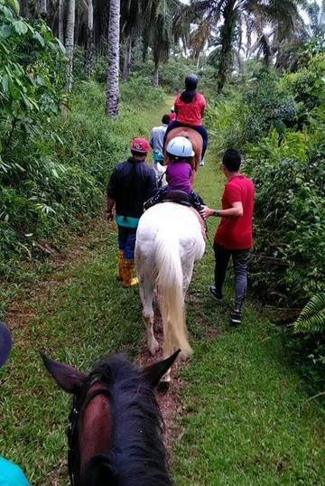 Rider's Resort主图