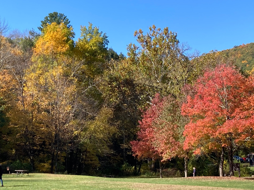 Hilltop House  Bed & Breakfast主图