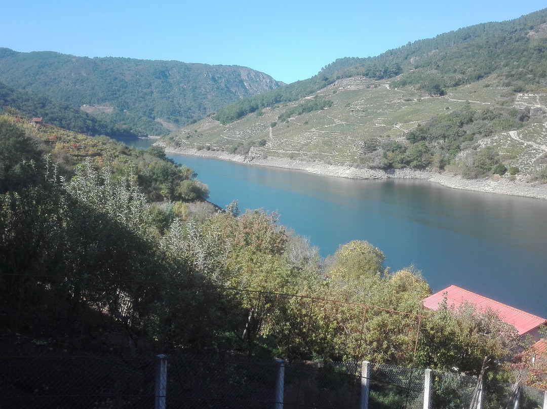 Bodega Ronsel Do Sil景点图片
