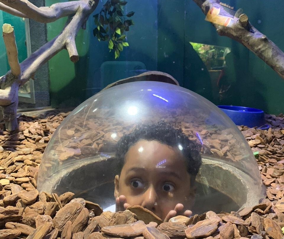 Acqua Mundo-瓜鲁雅必去景点