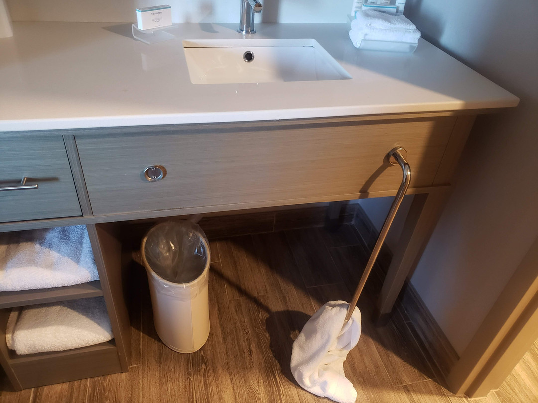 Homewood Suites by Hilton North Bay主图