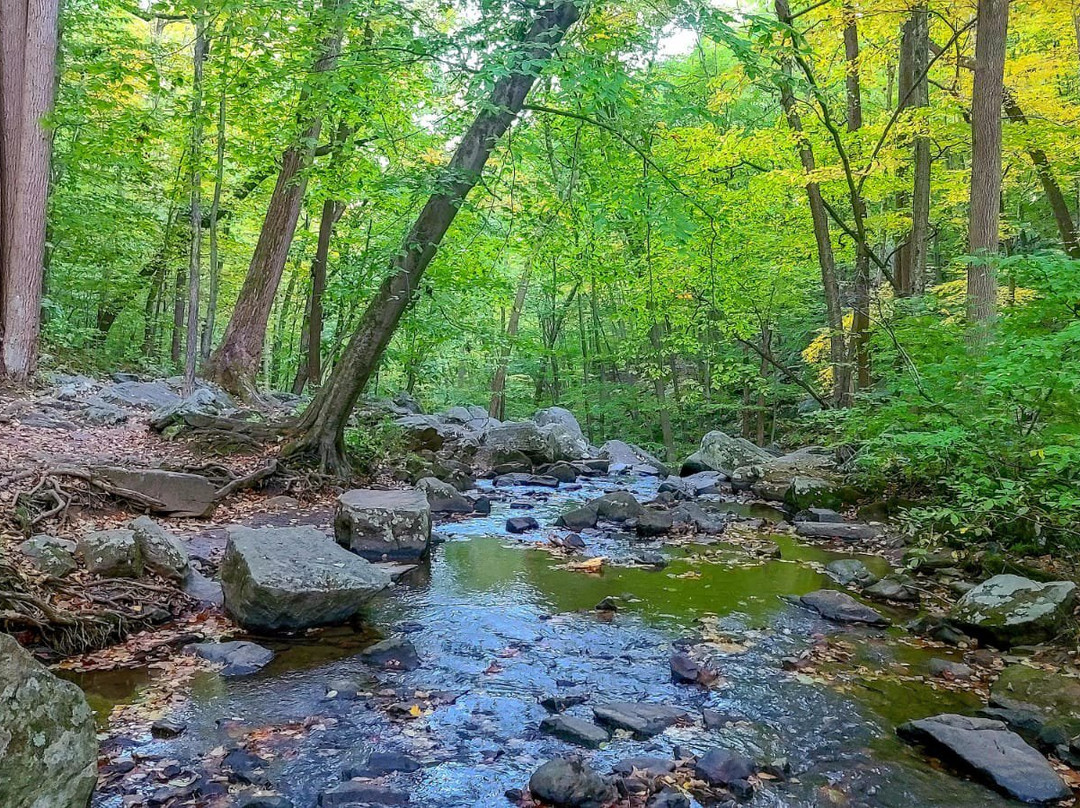 Hacklebarney State Park景点图片