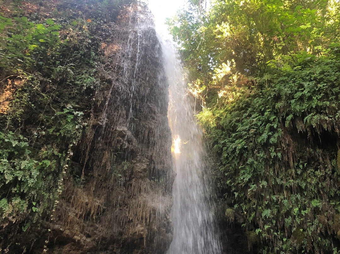 Cadianda Tours景点图片