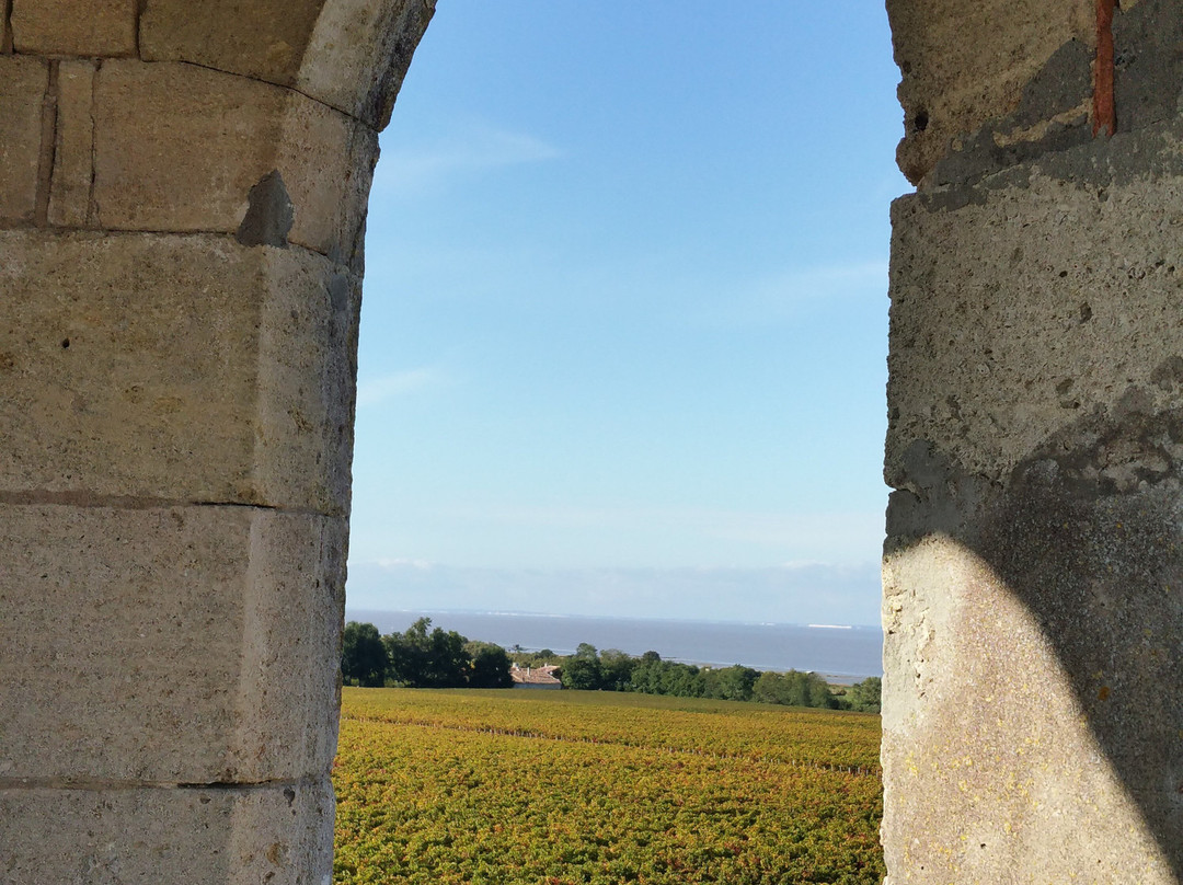 Château La Tour de By景点图片