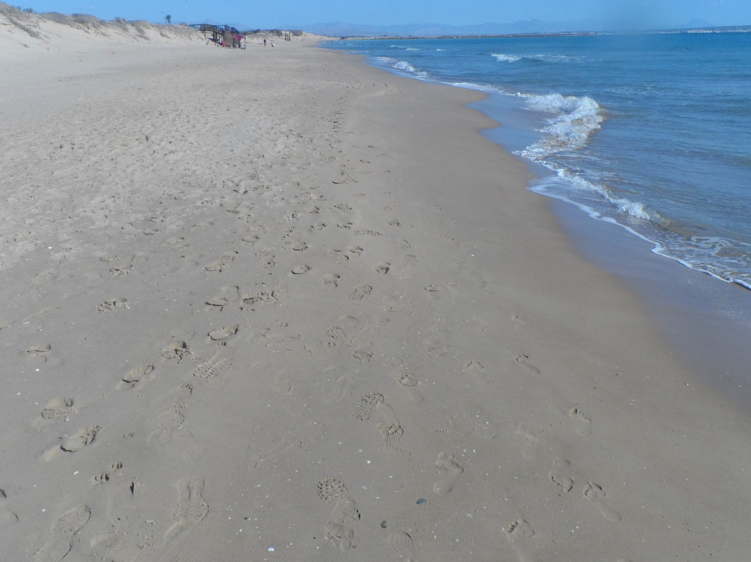 Playa Dels Vivers景点图片