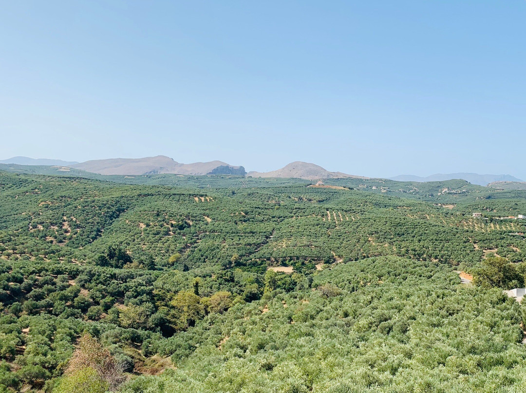 Voukolies旅游攻略图片