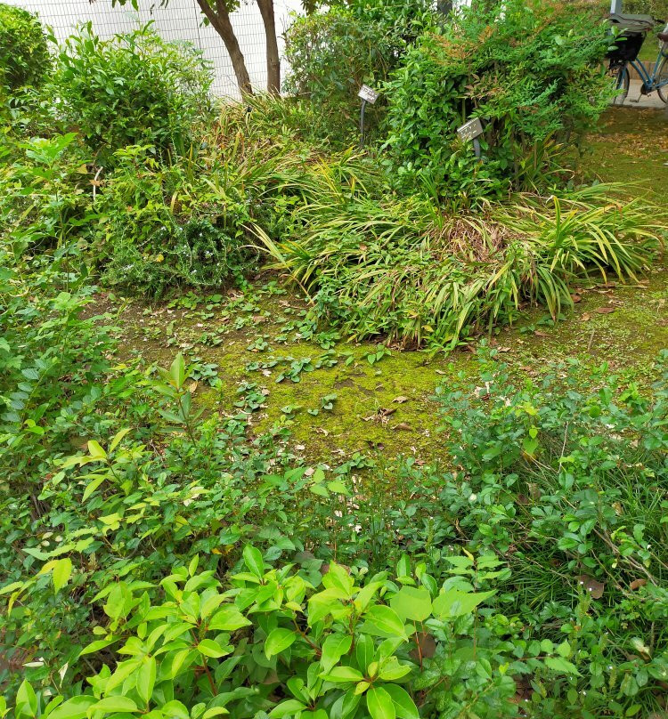 National Medicinal Herb Garden Trace景点图片
