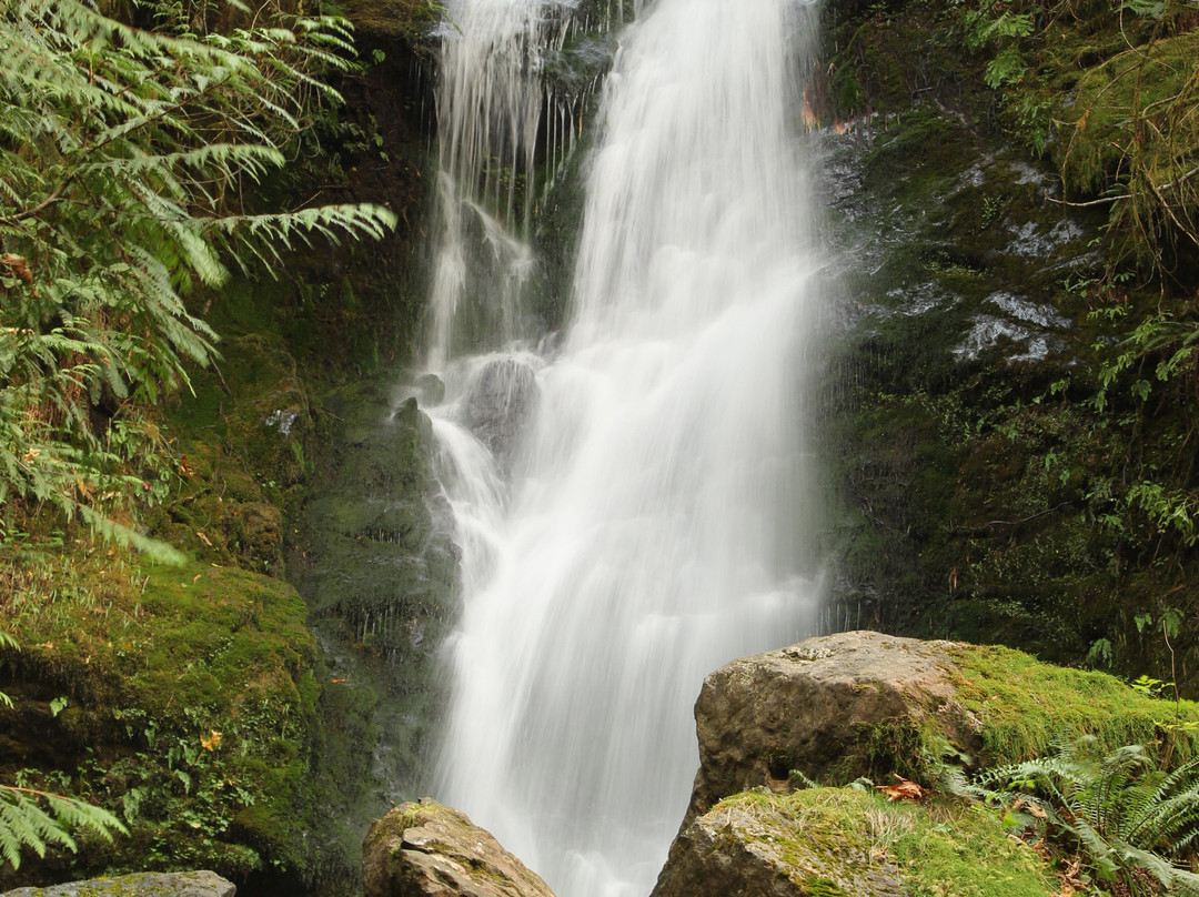 Merriman Falls景点图片