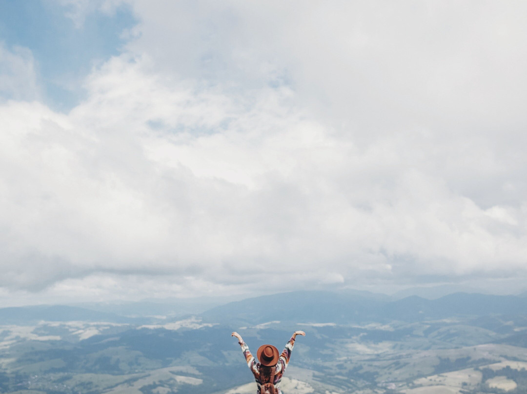 Mansfield Bushwalks-曼斯菲尔德必去景点