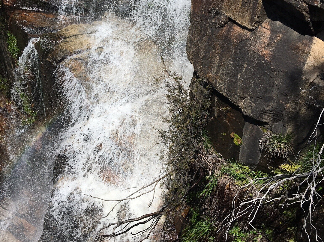 Gibraltar Falls-Paddys River必去景点