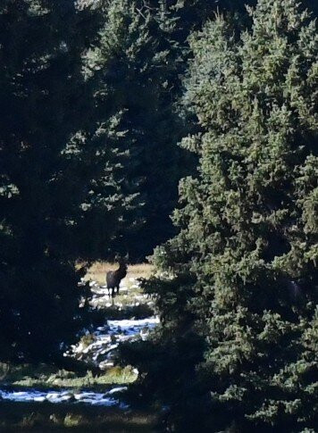 Blacktail Ponds Overlook景点图片