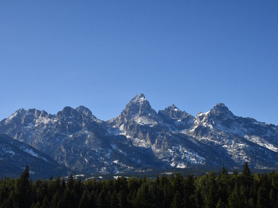 Blacktail Ponds Overlook景点图片