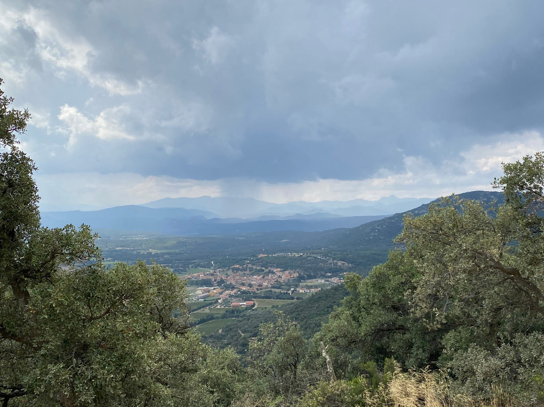 Castell de Requesens景点图片