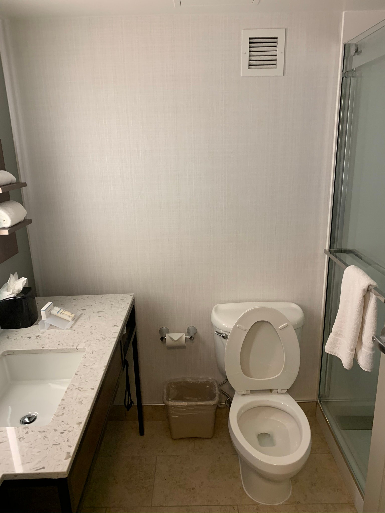 Hilton Garden Inn Baltimore Washington Airport-浴室