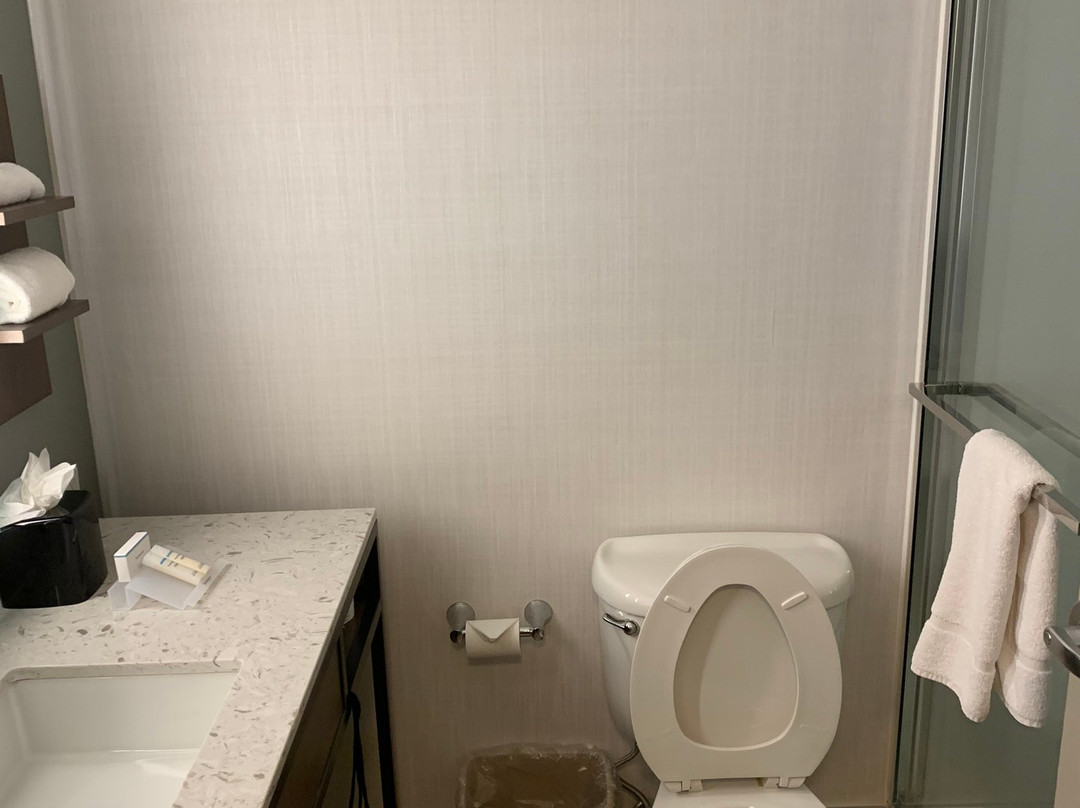 Hilton Garden Inn Baltimore Washington Airport主图