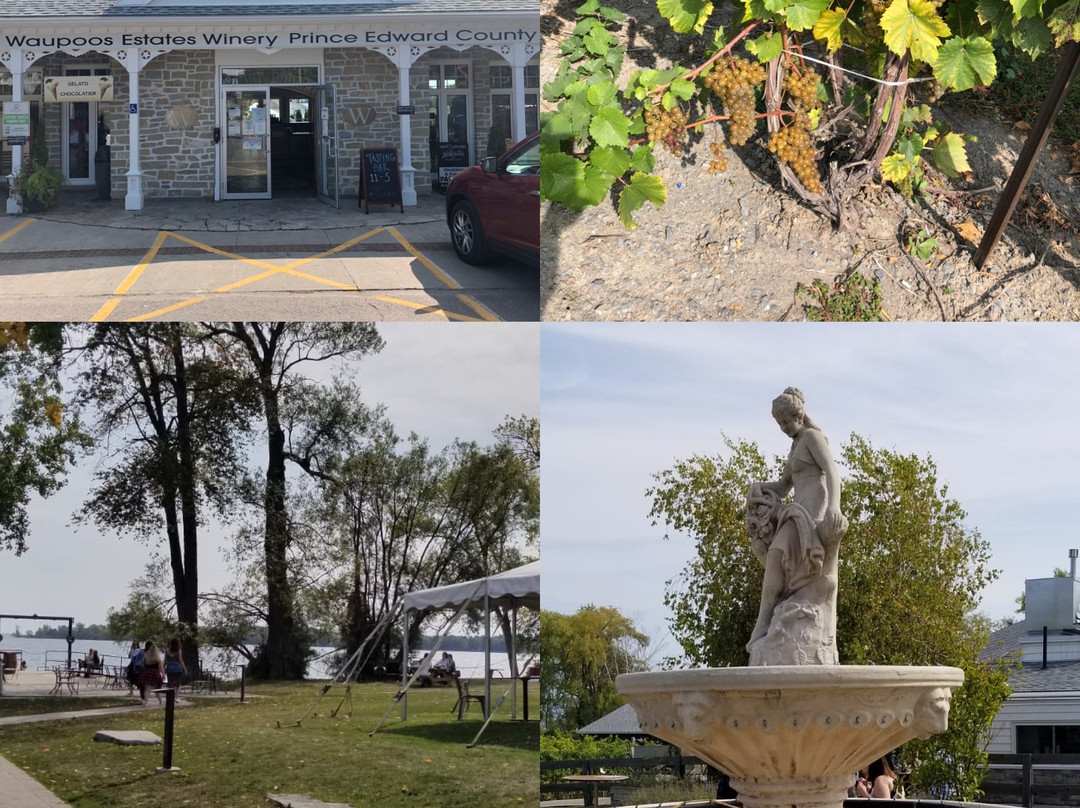 Lake on the Mountain-皮克顿必去景点