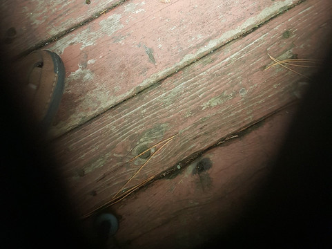 Lumberjack Saloon & Eatery