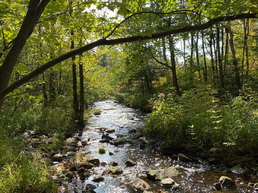 Duchesnay Falls Trails景点图片